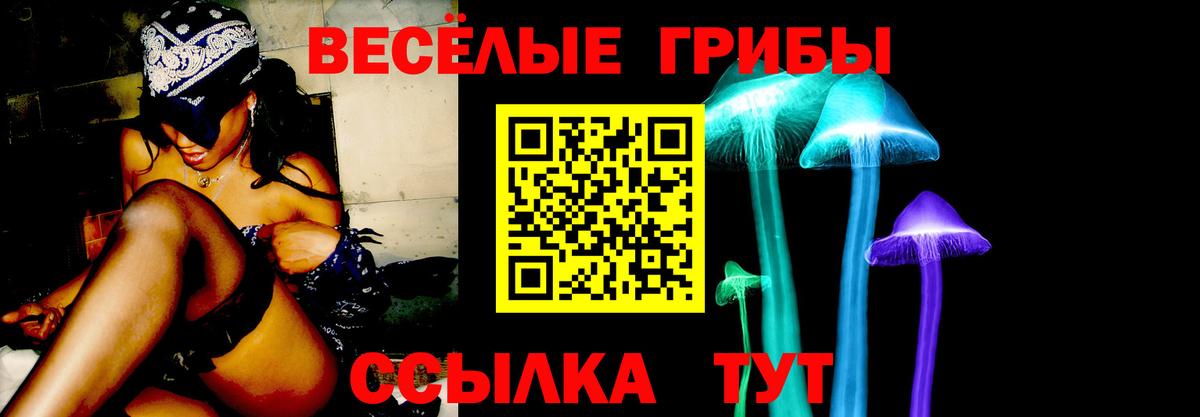 Краснодар  Псилоцибиновые грибы Cubensis  Вход с VPN 